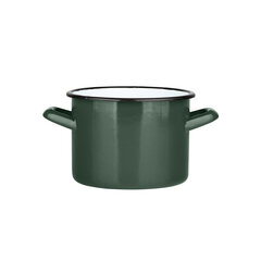 POT 5,8L ,22CM X,16CM ROHELINE цена и информация | Кастрюли, скороварки | 220.lv