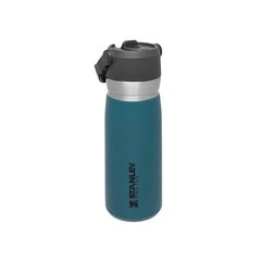 Termopudele ar salmiņu The IceFlow Flip Straw Water Bottle Go 0,65L lagūnas krāsā cena un informācija | Termosi, termokrūzes | 220.lv