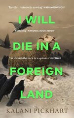 I Will Die in a Foreign Land цена и информация | Фантастика, фэнтези | 220.lv