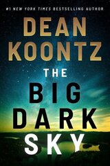 Big Dark Sky cena un informācija | Fantāzija, fantastikas grāmatas | 220.lv