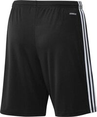 Мужские шорты Adidas Squadra 21 GN5776, черные цена и информация | Футбольная форма и другие товары | 220.lv