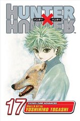 Hunter x Hunter, Vol. 17: A Fierce Three-Way Struggle illustrated edition, Volume 17 цена и информация | Фантастика, фэнтези | 220.lv