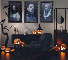 3D attēls spoku sejas mainās cilvēks Halloween šausmas cena un informācija | Svētku dekorācijas | 220.lv