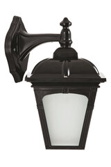 Āra sienas lampa Avonni BAP-68185-BSY-M3, 1 gab. цена и информация | Уличное освещение | 220.lv