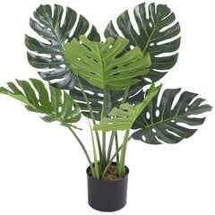 DIRBTINĖ MONSTERA 65CM JWS3022 cena un informācija | Mākslīgie ziedi | 220.lv