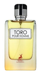 Parfimērijas ūdens Maison Alhambra Toro Pour Homme EDP vīriešiem, 100 ml cena un informācija | Vīriešu smaržas | 220.lv