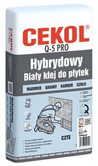 Hibrīda flīžu līme Q5 pro balta 5kg cena un informācija | Līmes | 220.lv