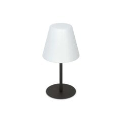 Darbavirsmas lampa Arcadia Tl1 cena un informācija | Galda lampas | 220.lv