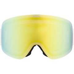 Slēpošanas brilles Alpina Penken, baltas/zaļas cena un informācija | Slēpošanas brilles | 220.lv