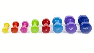 Vinyl Dumbbell 1.5 kg Green - sold single цена и информация | Гантели, гири, штанги | 220.lv