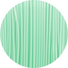 3D drukas kvēldiegs Fiberlogy Easy PLA 1.75mm 0.85kg Pastel Mint cena un informācija | Smart ierīces un piederumi | 220.lv