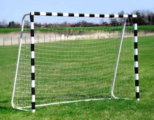 Futbola vārti ar futbola tīklu 300x160cm ECOTOYS цена и информация | Футбольные ворота и сетки | 220.lv