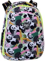 CoolPack mugursoma Turtle Panda Gang, 25 l cena un informācija | Skolas somas | 220.lv