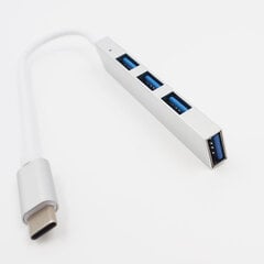 TYPE-C — USB centrmezgls StoreGD cena un informācija | Portatīvie datori | 220.lv