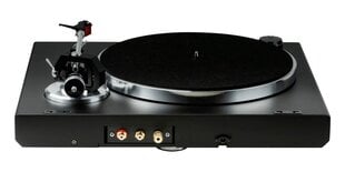 Rekkord Audio M600 High Gloss cena un informācija | Plašu atskaņotāji | 220.lv