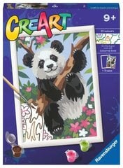 Glezna pēc cipariem Ravensburger CreArt Panda cena un informācija | Gleznas pēc numuriem | 220.lv