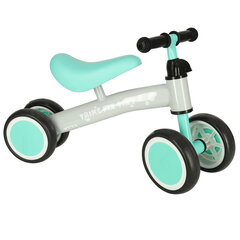 Трехколесный велосипед Tricycle Fix Tiny Mint Cross KidsPro цена и информация | Велосипеды | 220.lv