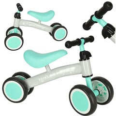 Tricycle Fix Tiny mint krosa trīsritenis KidsPro cena un informācija | Velosipēdi | 220.lv