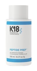 K18 Peptide Prep pH Maintenance Shampoo очищающий шампунь для быстро жирнеющих волос 250 мл цена и информация | Шампуни | 220.lv