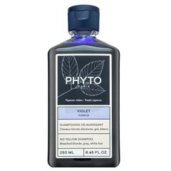 Phyto Purple No Yellow šampūns tonēts šampūns dzeltenu toņu neitralizēšanai 250 ml cena un informācija | Šampūni | 220.lv