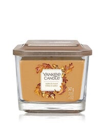 Yankee Candle Amber & Acorn 96 g cena un informācija | Sveces un svečturi | 220.lv