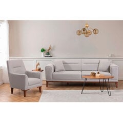 2-daļu mīksto mēbeļu komplekts Liones-TKM1-1005, smilšu krāsas cena un informācija | Dīvānu komplekti | 220.lv