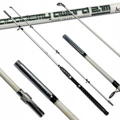 HOKKAIDO ACADEMY 2.1m 100-250g FULL SEA stienis cena un informācija | Makšķeres, spiningi, makšķeru turētāji un statīvi | 220.lv