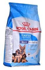 Royal Canin SHN Maxi Starter ar vistu, 4 kg cena un informācija | Sausā barība suņiem | 220.lv