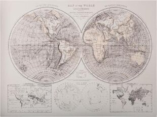 Reprodukcija Pasaules kartes cena un informācija | Gleznas | 220.lv