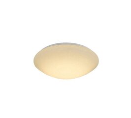 Easylink griestu lampa CL16142-D25 цена и информация | Потолочные светильники | 220.lv