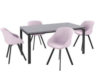 5-частный обеденный комплект Notio Living Sabine &amp; Ben, розовый/серый/черный цена и информация | Комплекты мебели для столовой | 220.lv