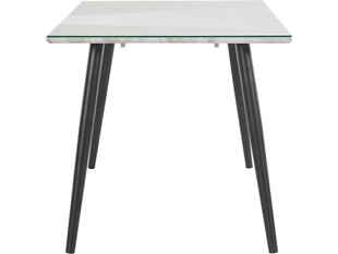 Ēdamistabas galds Notio Living, 120x80 cm, pelēks cena un informācija | Virtuves galdi, ēdamgaldi | 220.lv
