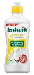 Ludwik trauku mazgājamā mašīna, 1350 g cena un informācija | Trauku mazgāšanas līdzekļi | 220.lv