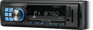 Automobiļa radio Muse M-198 DAB cena un informācija | Auto magnetolas, multimedija | 220.lv