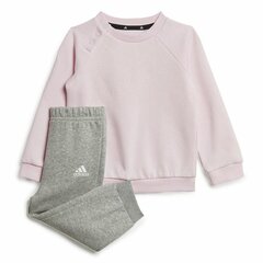 Sporta tērps meitenēm Adidas, rozā cena un informācija | Komplekti meitenēm | 220.lv