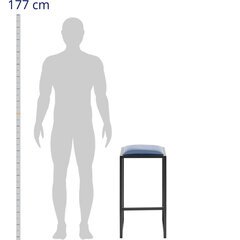2-vu bāra krēslu komplekts, melns/zils cena un informācija | Virtuves un ēdamistabas krēsli | 220.lv