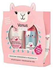 Komplekts Venus Xoxo: dušas želeja, 250 ml + dezodorants, 150 ml cena un informācija | Bērnu kosmētika, līdzekļi jaunajām māmiņām | 220.lv