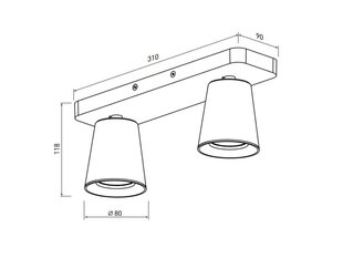 Elli griestu lampa, melna cena un informācija | Griestu lampas | 220.lv