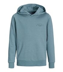 Jack & Jones детская толстовка 12259941*02, синий 5715603654479 цена и информация | Свитеры, жилетки, пиджаки для мальчиков | 220.lv