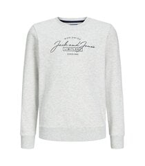 Jack & Jones детская толстовка 12259807*03, белый 5715603661170 цена и информация | Свитеры, жилетки, пиджаки для мальчиков | 220.lv