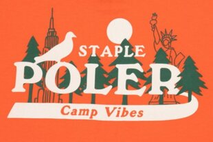 Vīriešu Poler X Staple NYC Camp kokvilnas oranžs t-krekls цена и информация | Мужские футболки | 220.lv