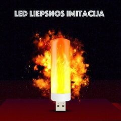 Usb liesmas imitācija Led cena un informācija | Āra apgaismojums | 220.lv