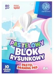 Pastelā zīmju bloks A4 formātā, 80g/m2, 10 lapas cena un informācija | Burtnīcas un papīra preces | 220.lv