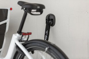 Grīdas/sienas enkurs velosipēdu glabāšanai AXA SIENA/GRĪDAS ANCHOR 4*/14MM GREY/CARD cena un informācija | Citi velo piederumi un aksesuāri | 220.lv