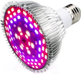 Esbaybulbs L22 LED augu lampa cena un informācija | Diedzēšanas trauki, augu lampas | 220.lv