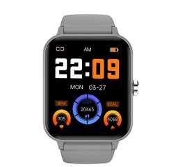 Blackview R30 44 mm Gray цена и информация | Смарт-часы (smartwatch) | 220.lv