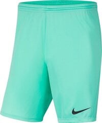 Шорты для мальчиков Nike Park III Knit Jr BV6865-354, зеленые цена и информация | Шорты для мальчиков | 220.lv