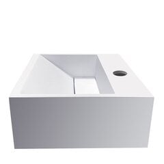 Izlietne ar dvieļu turētāju Julia Solid Surface 30x28x12,5 cm matēti balta cena un informācija | Izlietnes | 220.lv