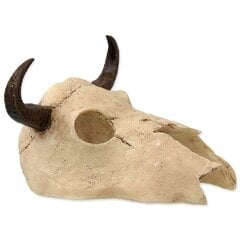 Декор для террариума | череп : Repti Planet Buffalo skull 12,5x11,8x8cm цена и информация | Товары для экзотических животных | 220.lv