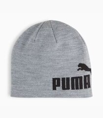 Puma vīriešu cepure 025636*03, gaiši pelēks 4067981498581 cena un informācija | Vīriešu cepures, šalles, cimdi | 220.lv